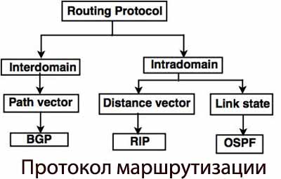 Доклад по теме Алгоритмы и протоколы маршрутизации 